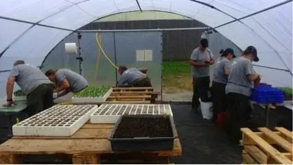 Pr&aacute;cticas de los alumnos del taller de empleo en viveros y jardines