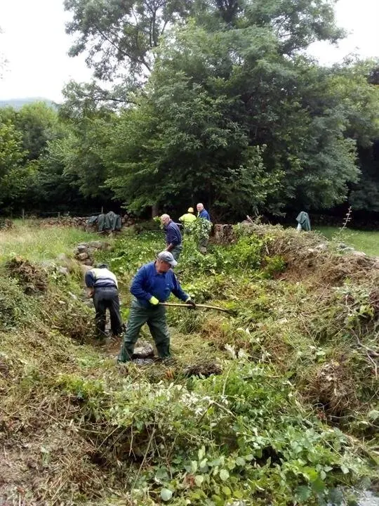 Limpieza de los cauces de varios arroyos en Renedo de Cabu&eacute;rniga