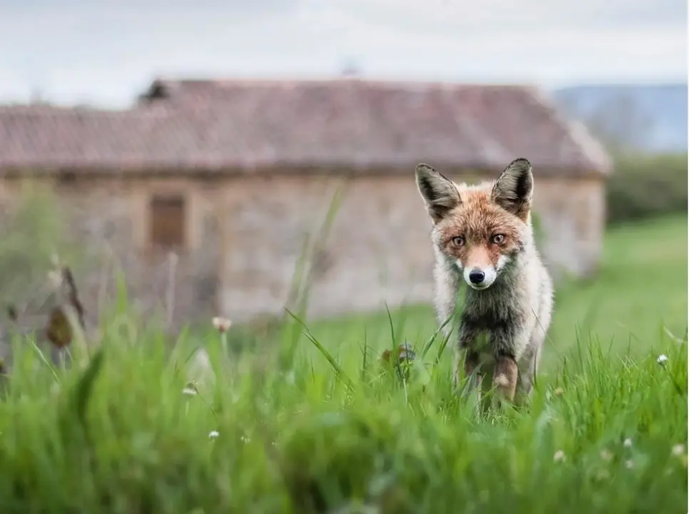 Foto ganadora de la anterior edici&oacute; del concurso de fotograf&iacute;a de Valderredible