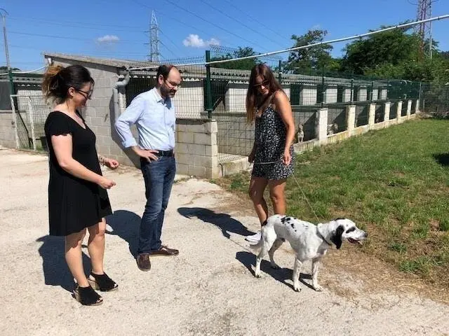 Proyectos Refugio Canino Torres