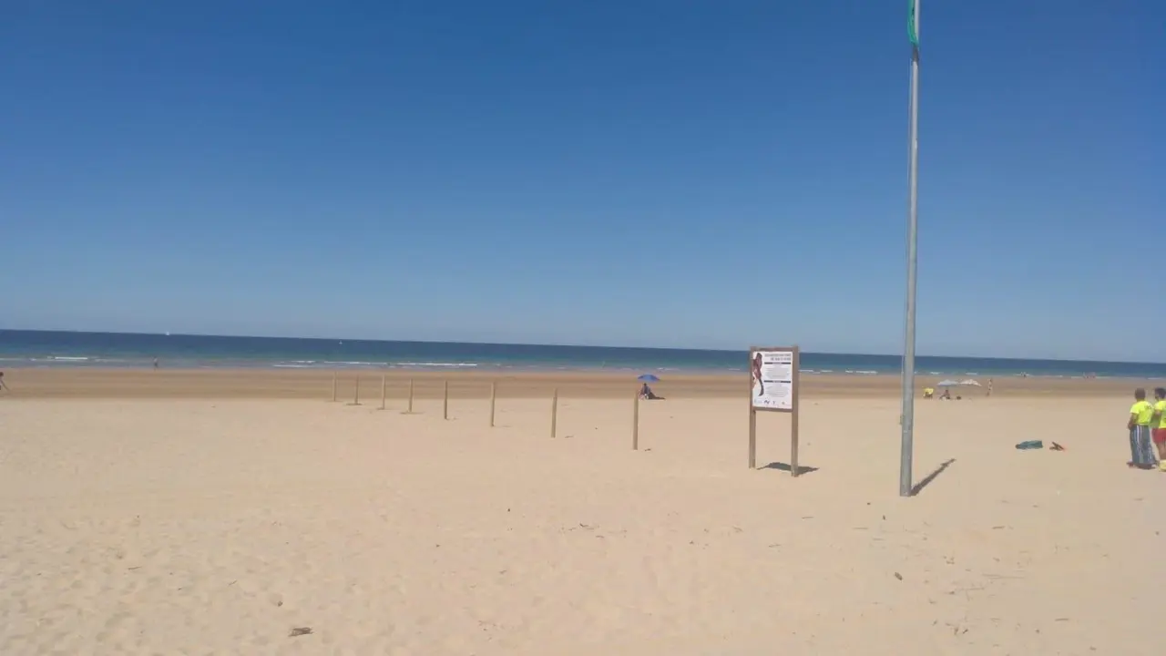 Zona habilitada para perros en una playa de Noja