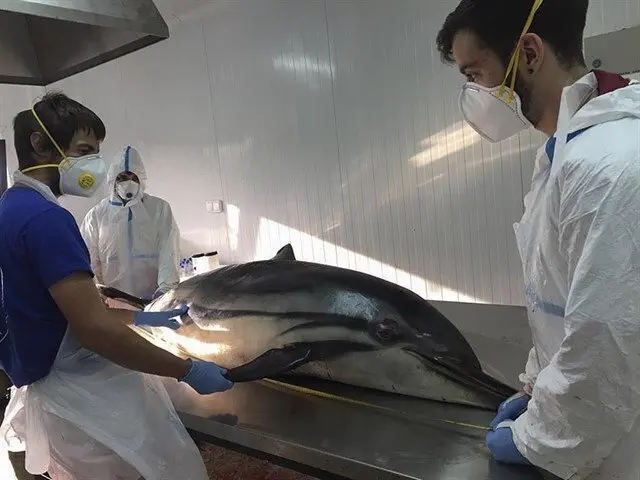 fotonoticia_20190720191651_640