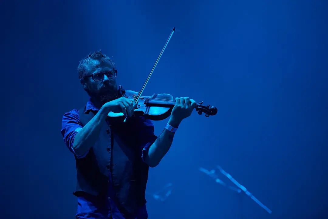 IMMACULATE FOOLS - MV 2019 - EL REY LAGART&Oacute;N (6)