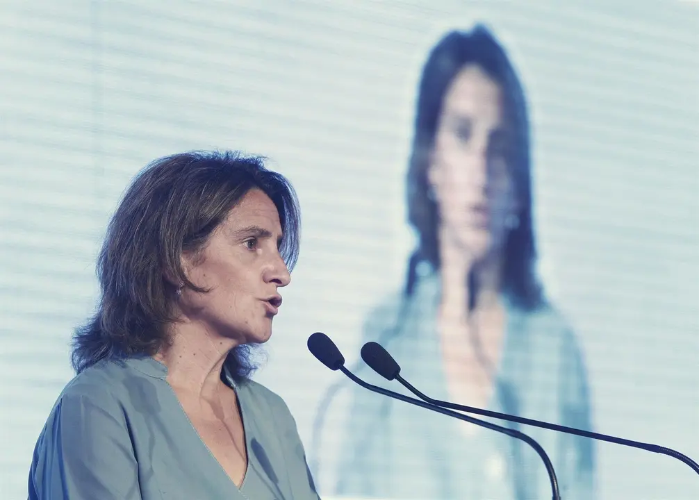 La ministra para la Transici&oacute;n Ecol&oacute;gica, Teresa Ribera, durante su intervenci&oacute;n en la jornada sobre 'Los retos del coche el&eacute;ctrico' en el Auditorio Casa del Lector del Matadero de Madrid.