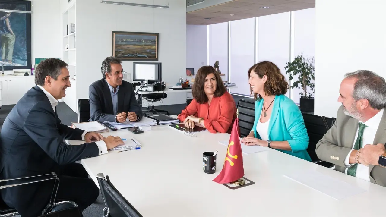 Pelayo, Mart&iacute;n, de los Arcos, Del Castillo y Merino