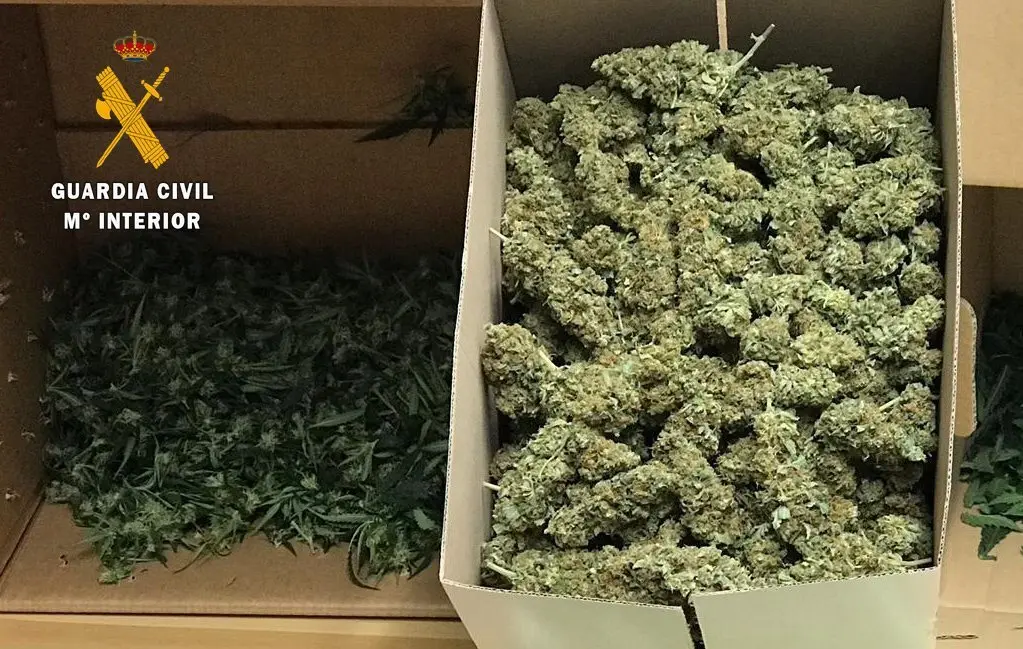 99DD0728-EE79-4A6A-BFE2-EAF9A1ED3477