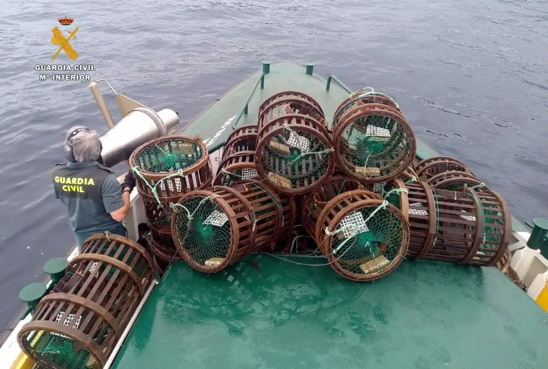 Pulpos, centollos y bogavantes incautados a un pescador furtivo
