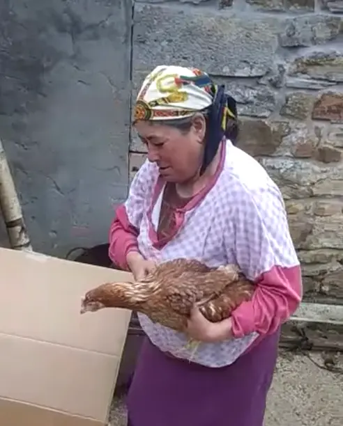 Captura de pantalla 2019-08-12 a las 19.15.14