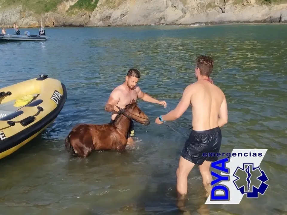 La DYA rescata a un potrillo de una zona de acantilados