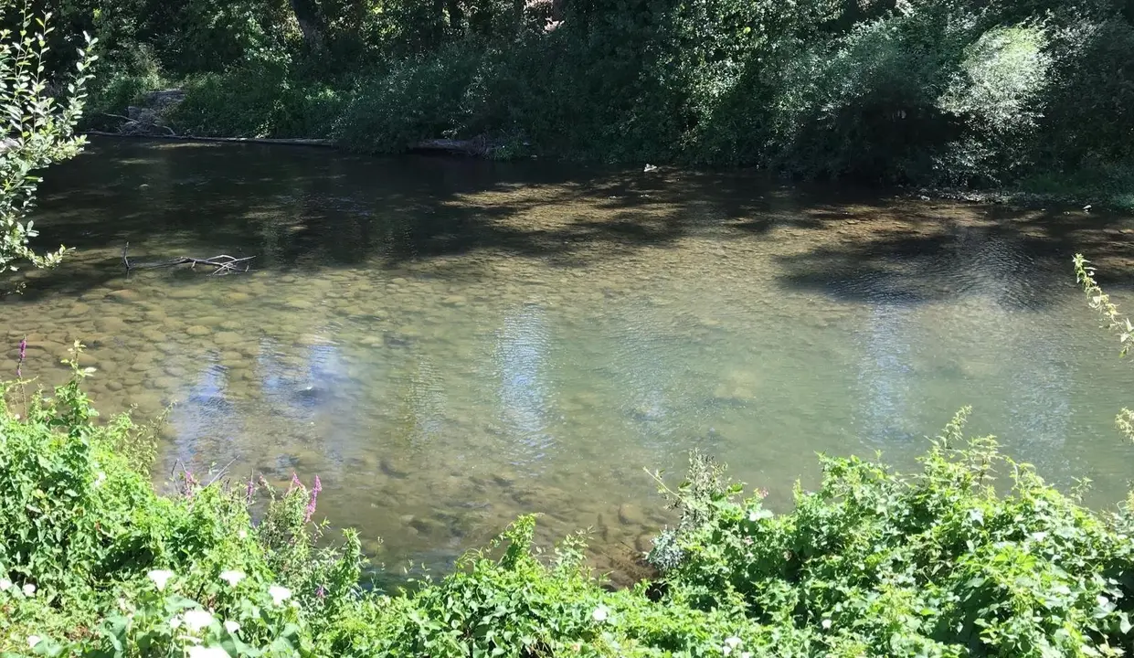 1EC90143-1D0E-48F1-A347-5F1C482861AB