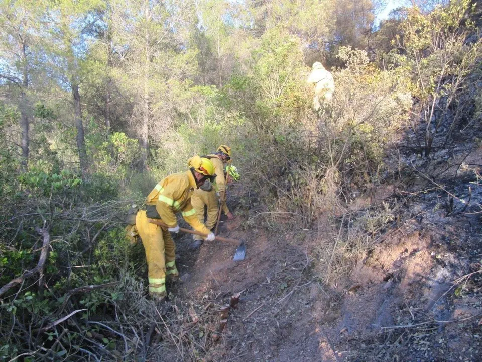 Tarea de extinci&oacute;n de un incendio forestal.