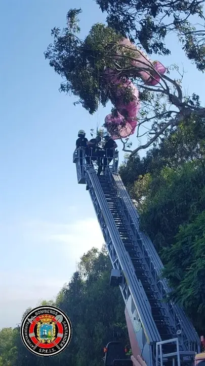 Rescate del parapentista atrapado en un &aacute;rbol junto a la playa de Matale&ntilde;as