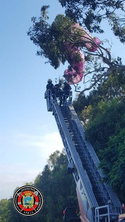 Rescate del parapentista atrapado en un árbol junto a la playa de Mataleñas
