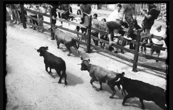 Captura de pantalla 2019-08-23 a las 9.14.11