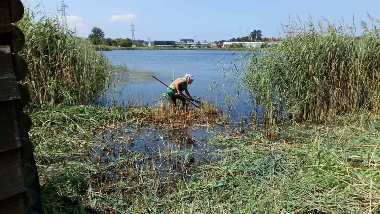 Trabajos en las marismas de Astillero