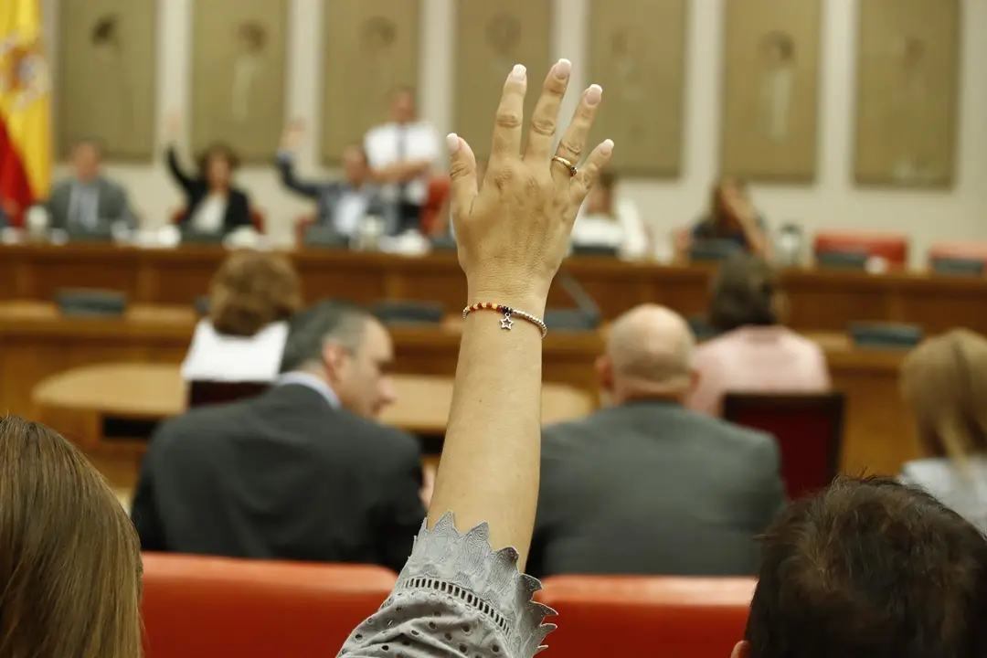 Una de las componentes de la Diputaci&oacute;n Permanente durante una votaci&oacute;n