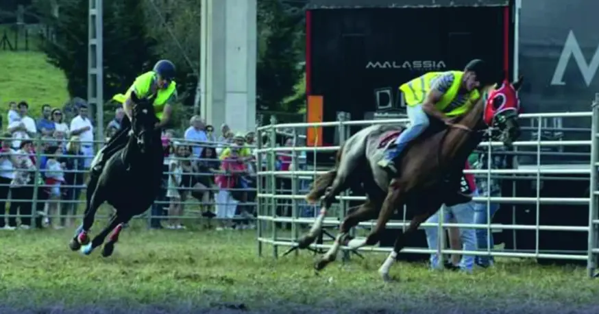 Captura de pantalla 2019-08-31 a las 8.51.26