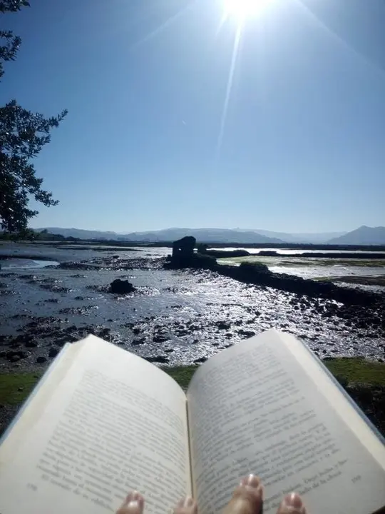 Foto ganadora del concurso