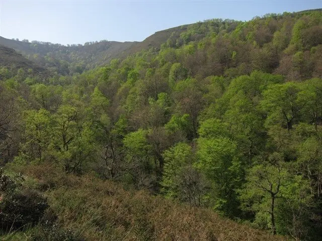 fotonoticia_20150118112944_640