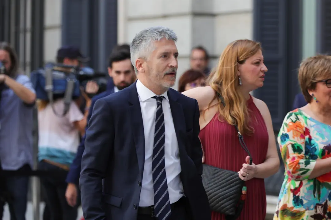 El ministro del Interior en funciones, Fernando Grande- Marlaska, llega al Congreso los Diputados horas previas a la segunda votaci&oacute;n para la investidura del candidato socialista a la Presidencia del Gobierno.