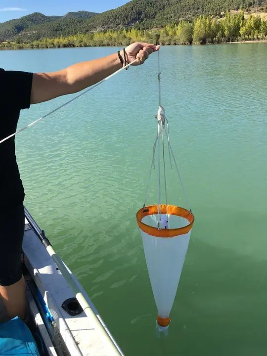 Control de mejill&oacute;n cebra