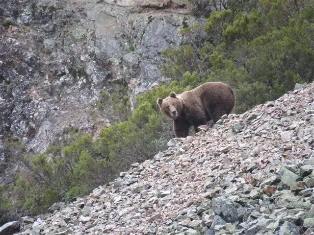 fotonoticia_20170727145534_640