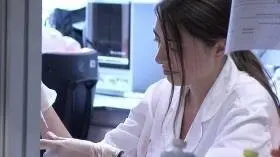 investigaci&oacute;n