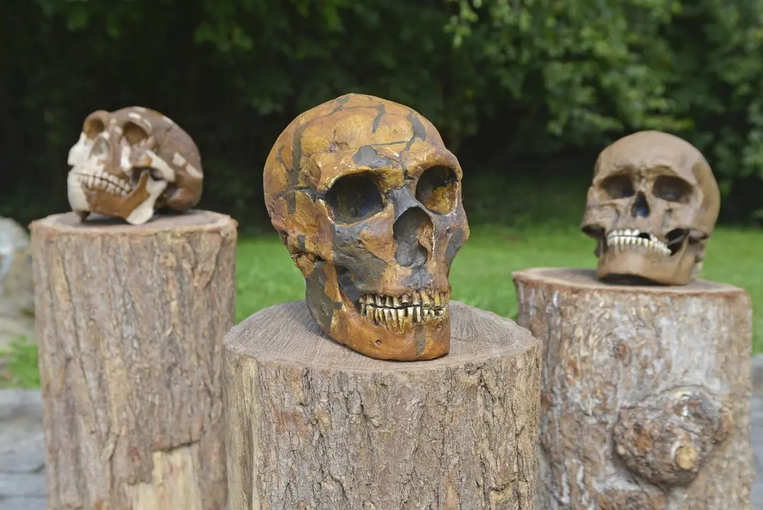 Taller Museo Altamira