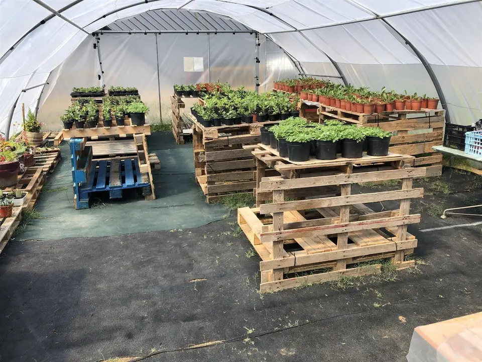 Taller de empleo de viveros y jardines en Noja