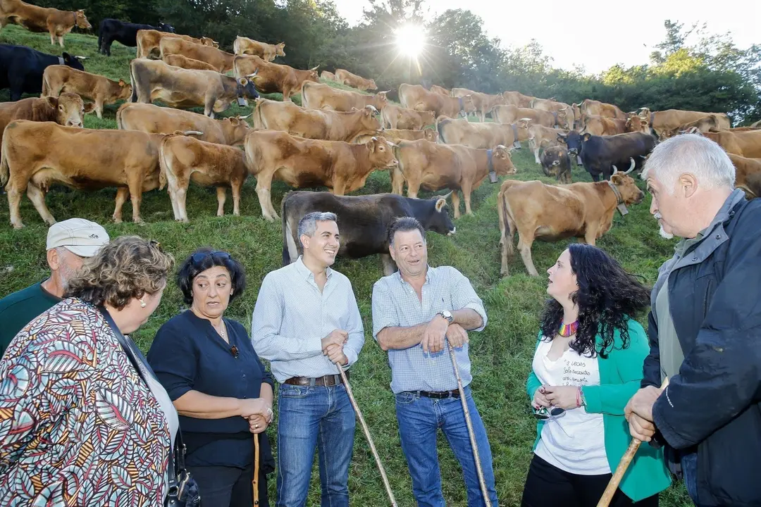 Feria San Miguel Puentenansa