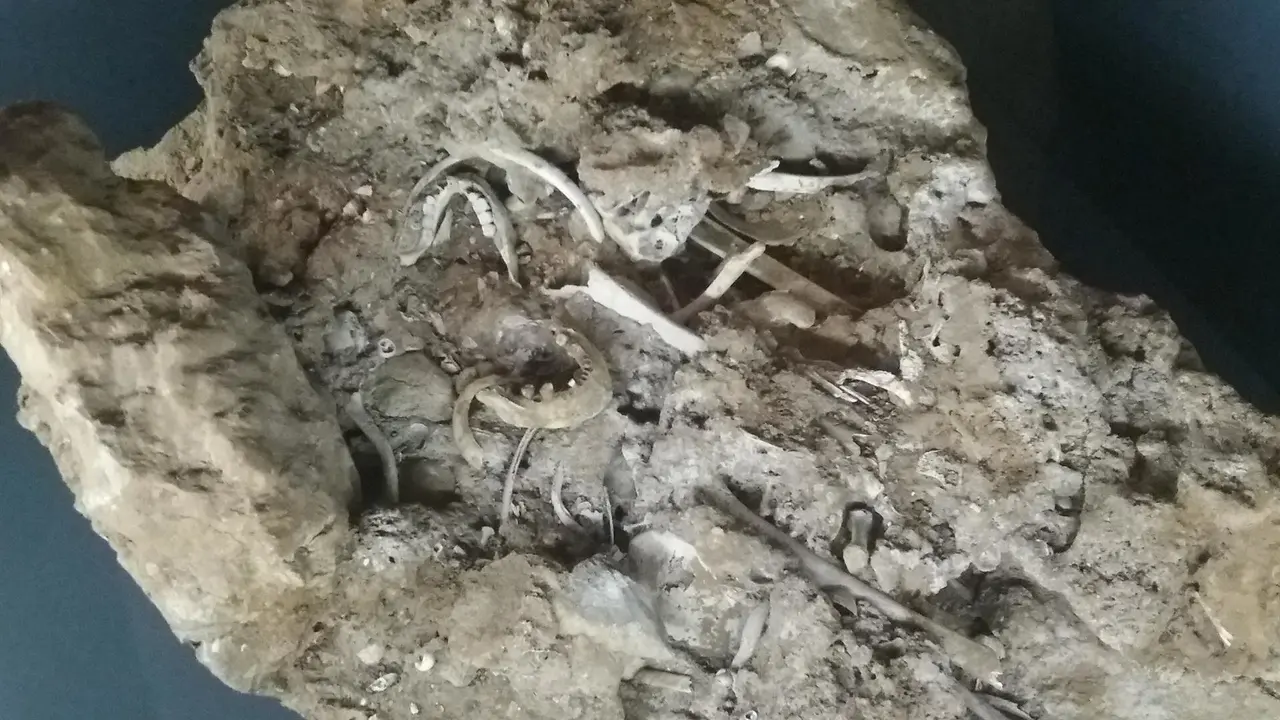 El 'conchero' de la cueva de 'Las c&aacute;scaras' de Alfoz de Lloredo