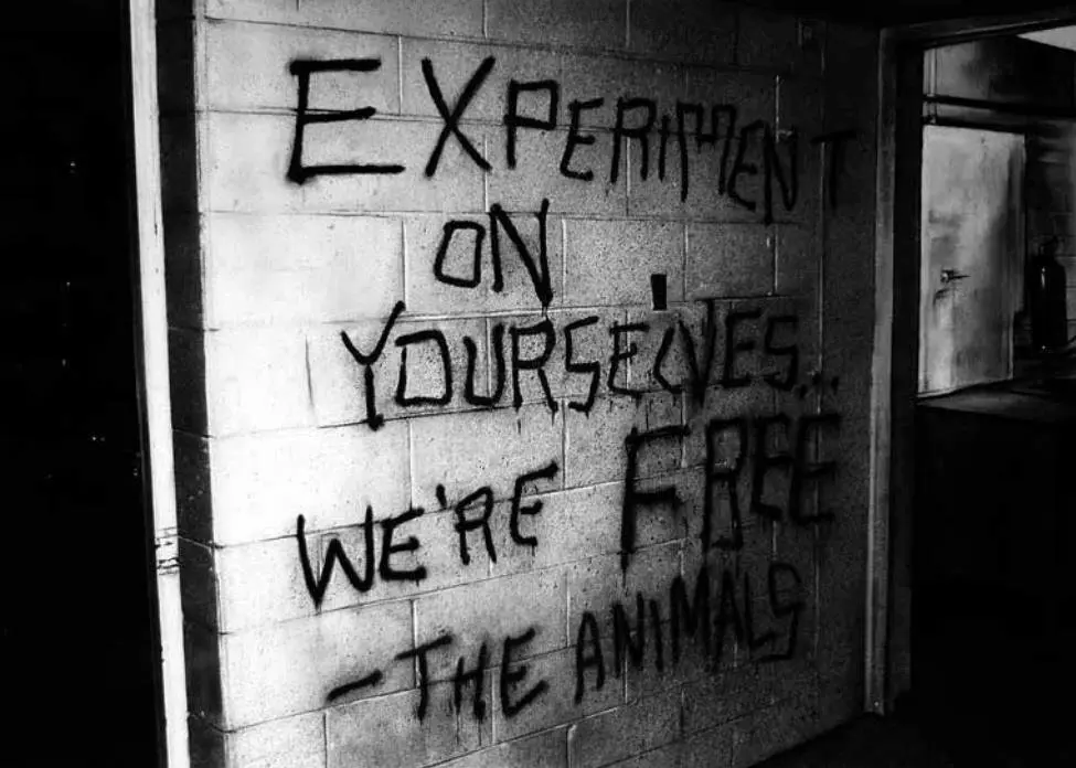 &lsquo;EXPERIMENT ON YOURSELVES&hellip; WE&rsquo;RE FREE &ndash; THE ANIMALS (Not Quite A Terrorism)&rsquo;  De Quique Ortiz