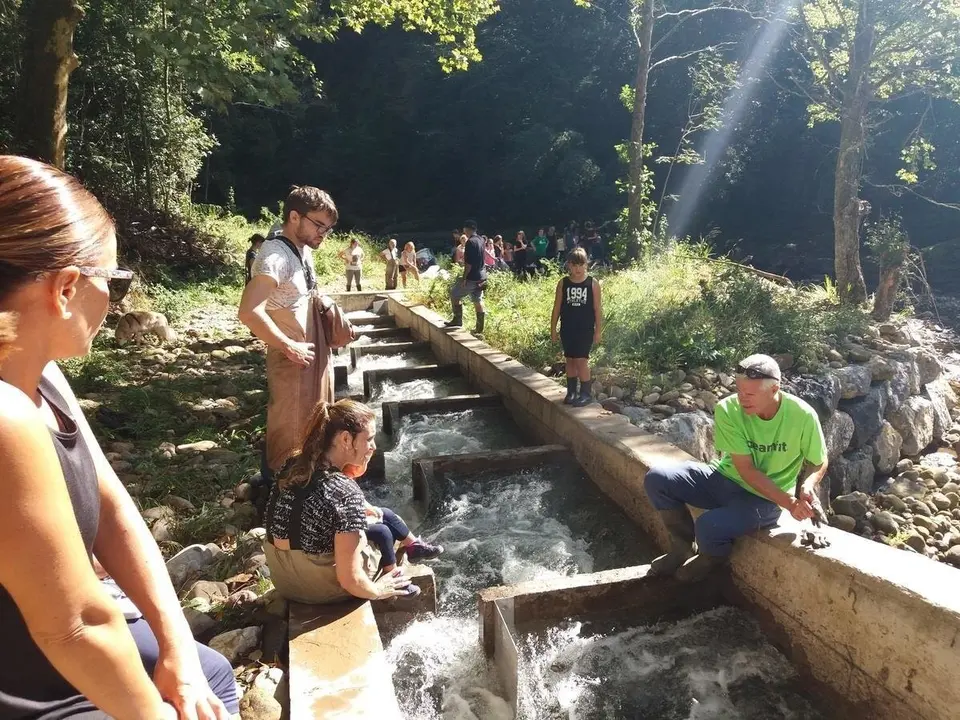 Voluntarios acondicionan la escala para salmones de El Arral, en Li&eacute;rganes