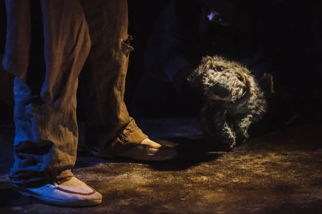 Escena de 'Lost Dog... Perro Perdido'