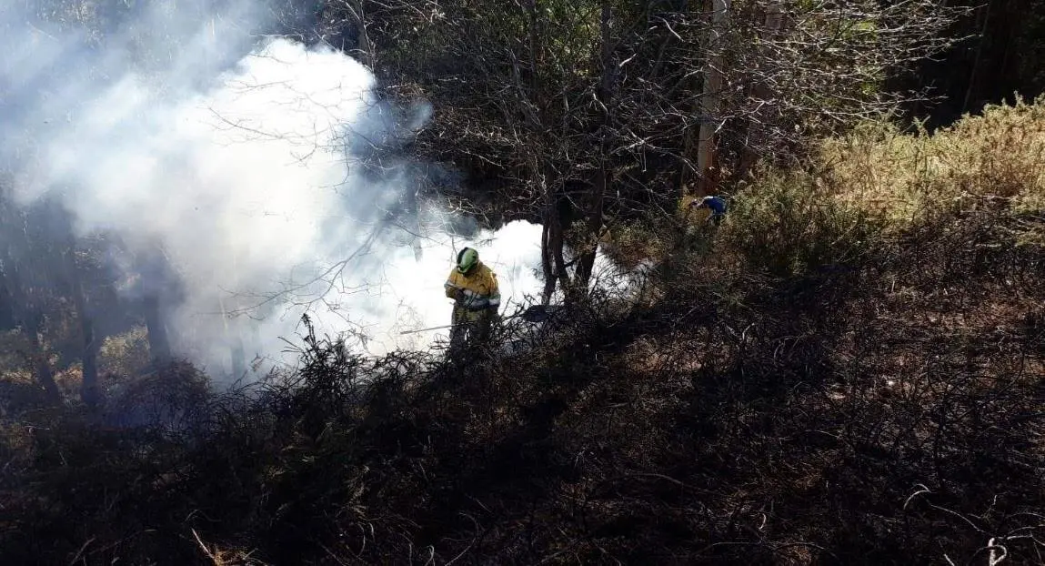 Extinci&oacute;n de incendio por miembros del operativo de Medio Natural