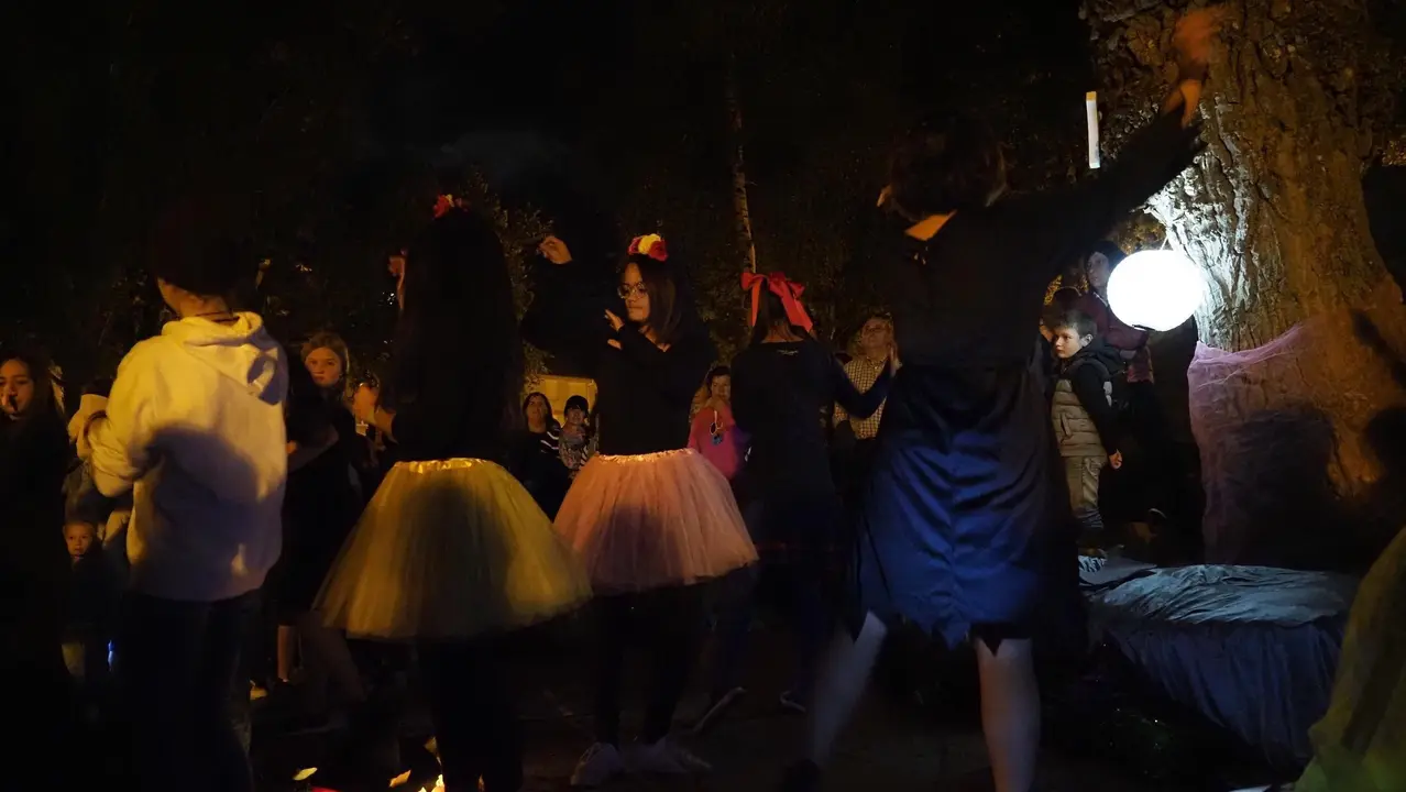 OLYMPUS DIGITAL CAMERA         