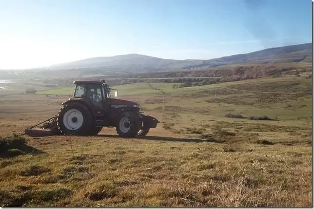 Desbroces en Campoo de Yuso