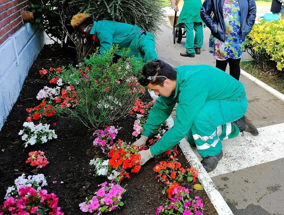 Programa de jardiner&iacute;a