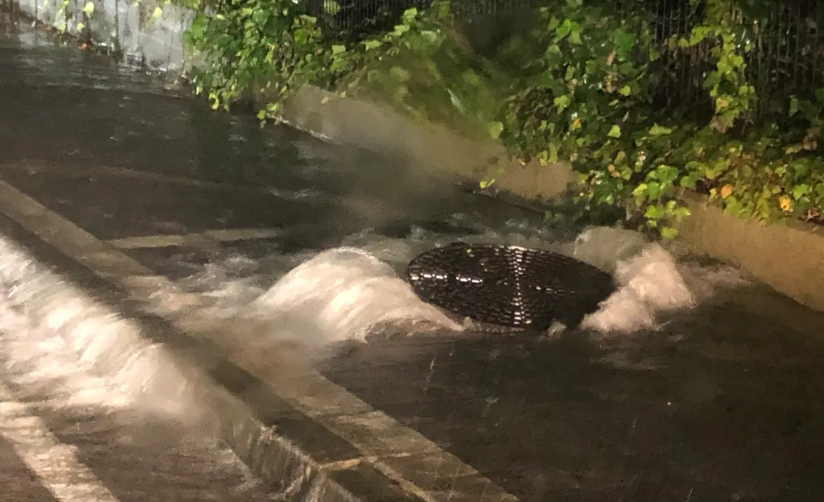 Captura de pantalla 2019-10-23 a las 23.24.45