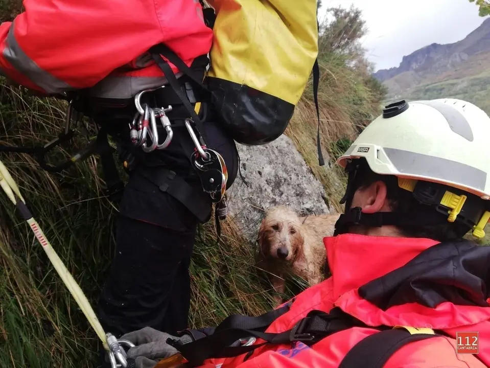 Bomberos del 112 recatan al perro