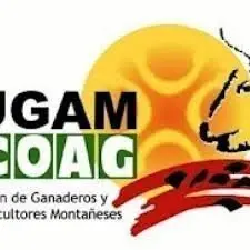 ugam coag
