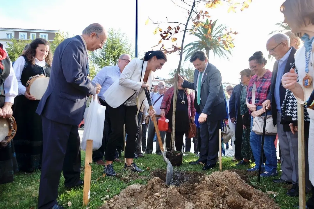 La alcaldesa de Santander, Gema Igual,compa&ntilde;ada del secretario general de Emigraci&oacute;n de la Xunta de Galicia, Antonio Rodr&iacute;guez Miranda, y del presidente del Centro Gallego, Jos&eacute; Antonio Otero, plantan un carballo (roble)  en el Parque de Mesones