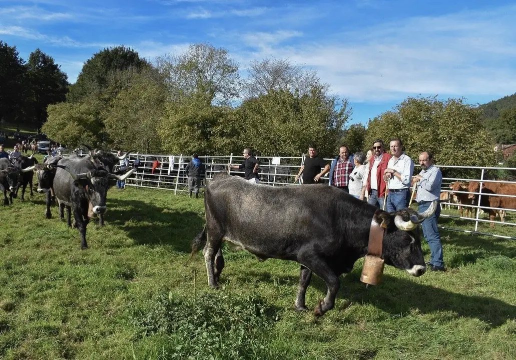 El consejero de Desarrollo Rural, Ganader&iacute;a, Pesca, Alimentaci&oacute;n y Medio Ambiente, Guillermo Blanco, en la Feria ganadera de Coo