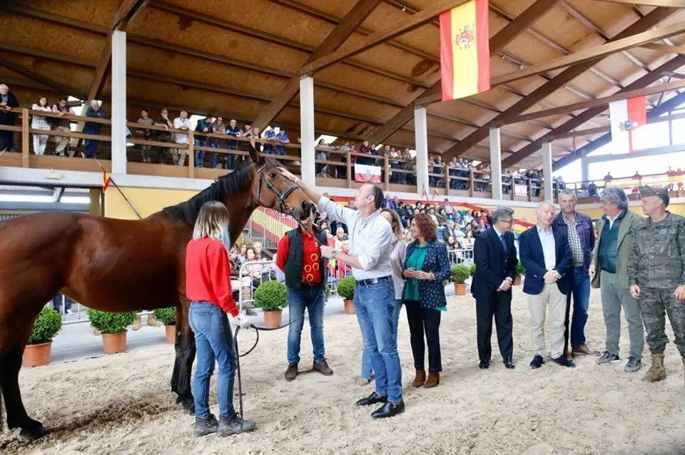 75424744_10157894226880663_2633936613222121472_n