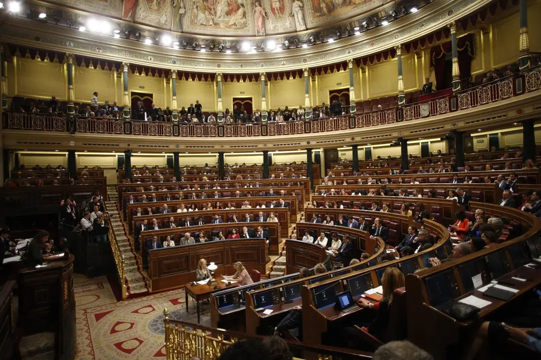 Vista del hemiciclo del Congreso de los Diputados durante la sesi&oacute;n constitutiva de la C&aacute;mara baja.                     