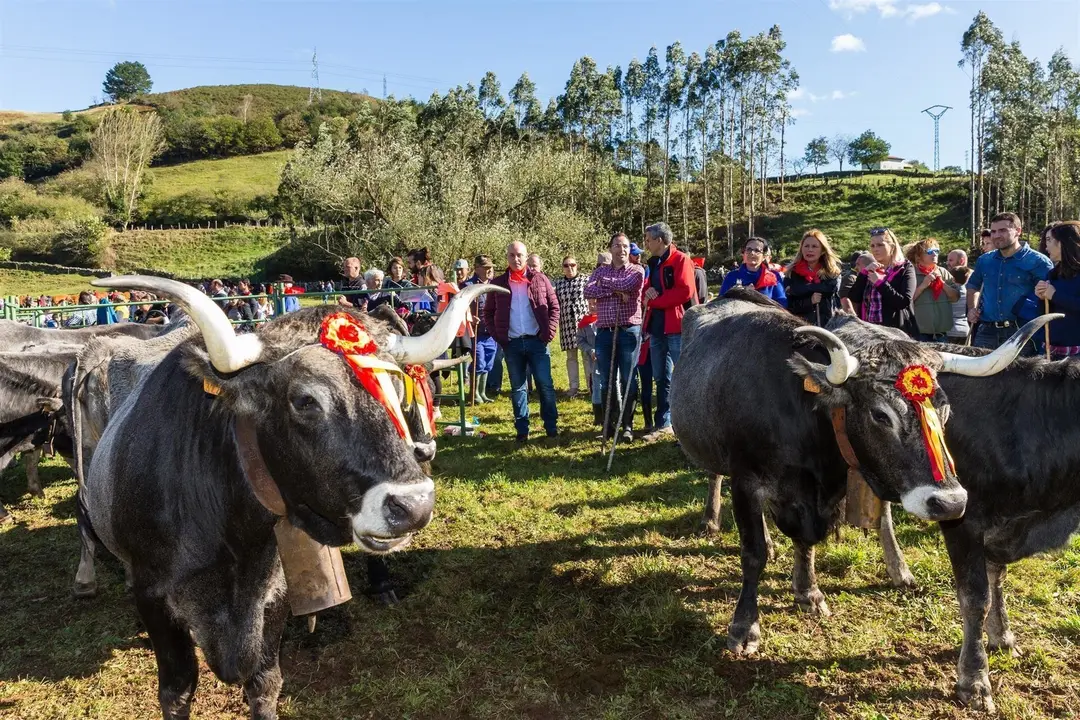 Pablo Zuloaga en la feria de ganado de Cieza