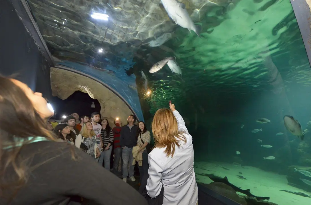 Museo Mar&iacute;timo del Cant&aacute;brico (MMC)