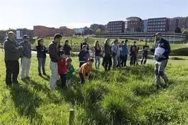 actividad de provoca en las llamas