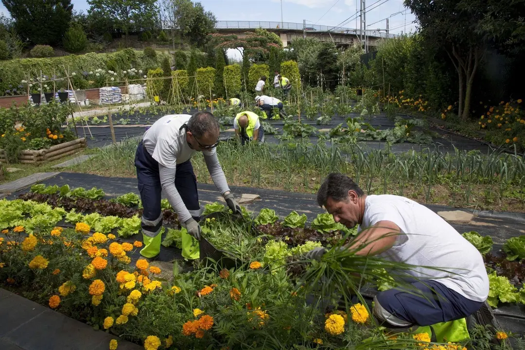 Camargo.- Arranca este lunes un curso sobre 'Horticultura y Floricultura' dirigido a desempleados