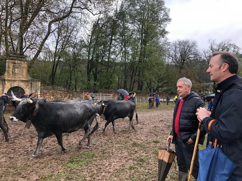 El consejero de Desarrollo Rural, Ganader&iacute;a, Pesca, Alimentaci&oacute;n y Medio Ambiente, Guillermo Blanco, ha asistido hoy a la XXXIX edici&oacute;n de la tradicional Feria Exposici&oacute;n de Ganado de Arenas de Igu&ntilde;a
